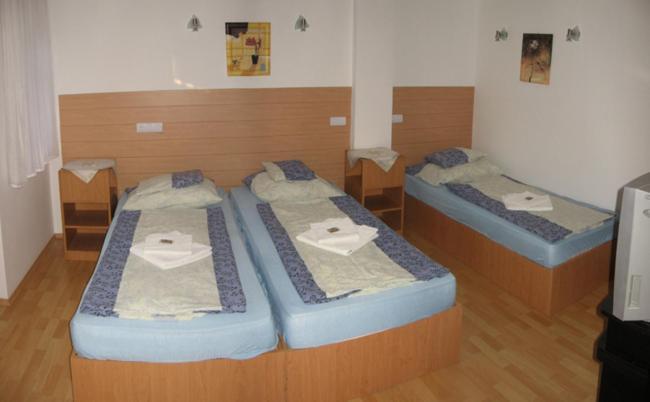 데브레첸 Nadix Panzio B&B 객실 사진